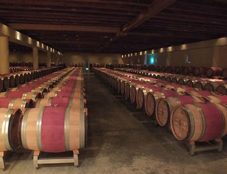 Une semaine dans le Bordelais, le retour (jour 1) DSCF2032