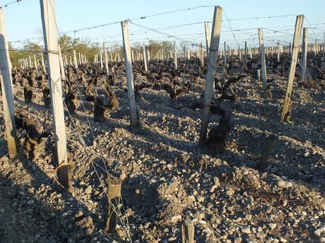 Une semaine dans le Bordelais, le retour (jour 1) DSCF2086