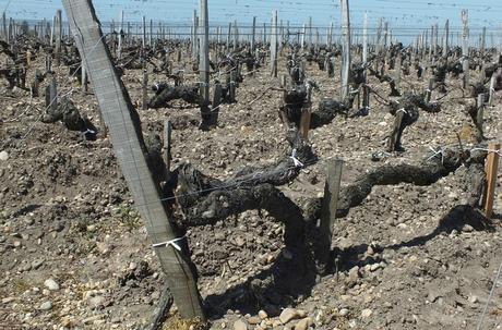 Une semaine dans le Bordelais, le retour (jour 1) DSCF2012