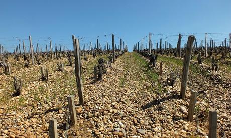 Une semaine dans le Bordelais, le retour (jour 1) DSCF2016