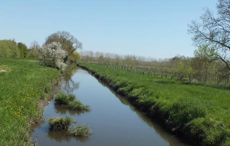 Une semaine dans le Bordelais, le retour (jour 1) DSCF2021