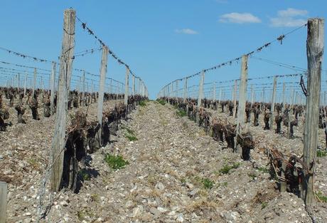 Une semaine dans le Bordelais, le retour (jour 1) DSCF2056