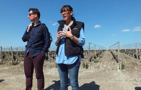 Une semaine dans le Bordelais, le retour (jour 1) DSCF2055