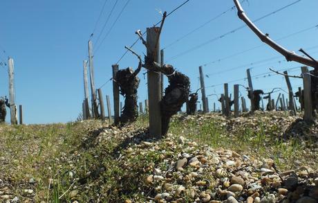 Une semaine dans le Bordelais, le retour (jour 1) DSCF2015