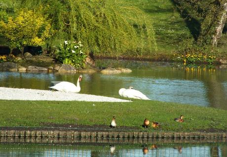 Une semaine dans le Bordelais, le retour (jour 1) DSCF2069