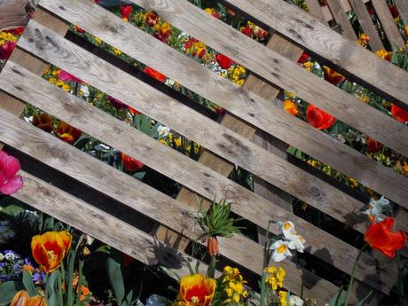 palette à la diable palette à la diable