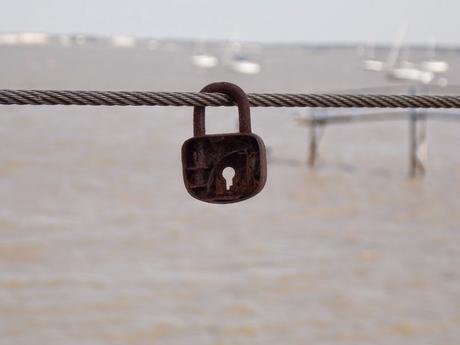 palette à la diable palette à la diable