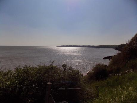 palette à la diable palette à la diable