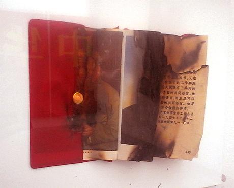 Petit livre rouge brûlé Bernard Aubertin