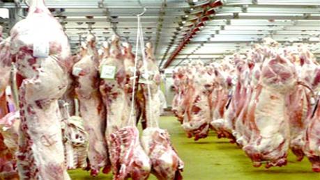 Croissance de 11% de la filière viande rouge en 2014 (ministère) Croissance de 11% de la filière viande rouge en 2014 (ministère)