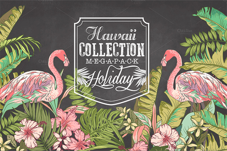 20% Hawaii collection Mega Pack par Graphic Box