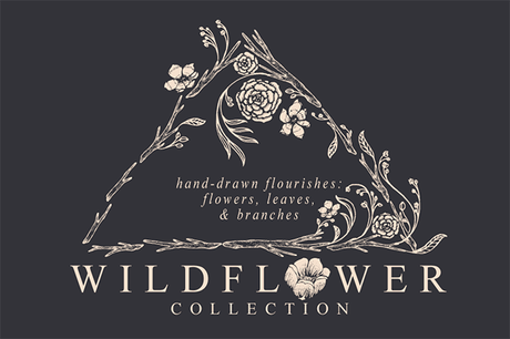 Wildflower Collection par Feanne