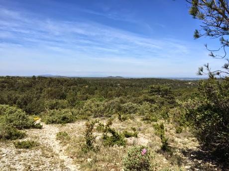 Chaud soleil dans le Gard #30 Chaud soleil dans le Gard #30