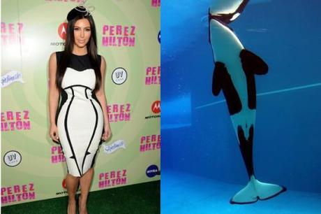 Yes! un nouveau logiciel de concordance faciale est né... Et oui beau casting de doublures plus vraies que nature!