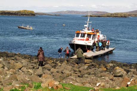 Ile de Lunga : les macareux moines à moins de 2 mètres ! Ile de Lunga : les macareux moines à moins de 2 mètres !