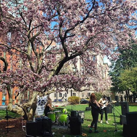 Outdoor music at Barnard College. Spring makes NYC look so pretty. đŸ’•đŸŒ¸#NYC #NewYork #Barnard #music #spring #love #happy #iloveny  (à Barnard College)
