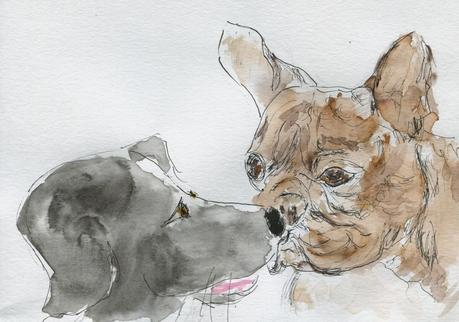 403) Se trouver nez à nez 403) Se trouver nez à nez