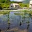  Le Mas de Saribou, un gîte écologique et bio de charme avec piscine naturelle en Ardèche 