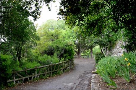 Intra muros 3 Nîmes, rues de Nîmes, 7 collines, maisons, façades, intra muros,