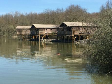 Le Pal : 7 nouvelles Lodges avec vue sur les hippopotames Crédits photo : Le Pal