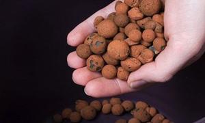 Comment s’occuper de ses plantes pendant les vacances ! Comment s’occuper de ses plantes pendant les vacances !