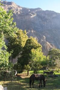 Canyon del Colca