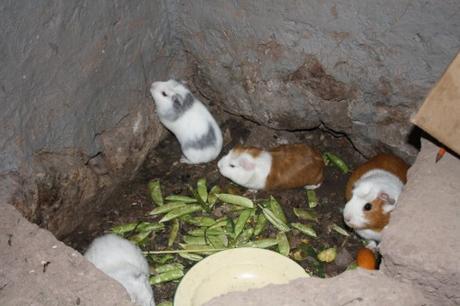 Quechua dans l'âme Quechua dans l'âme