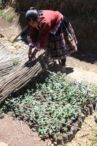 Quechua dans l'âme Quechua dans l'âme