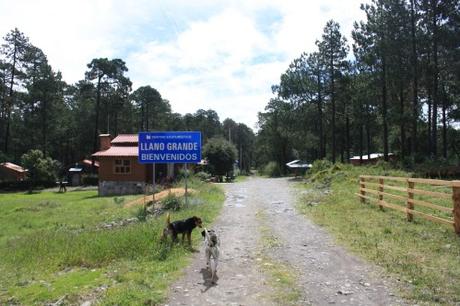 Caminatas de la Sierra Norte... Caminatas de la Sierra Norte...