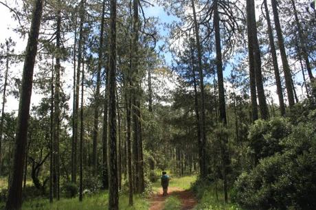 Caminatas de la Sierra Norte... Caminatas de la Sierra Norte...
