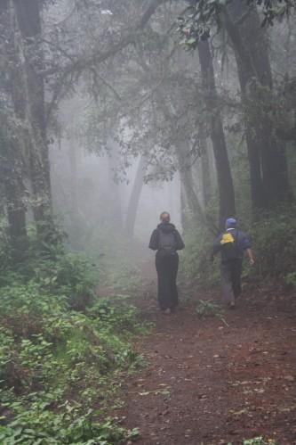 Caminatas de la Sierra Norte... Caminatas de la Sierra Norte...
