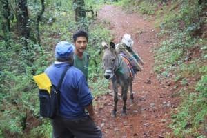 Caminatas de la Sierra Norte... Caminatas de la Sierra Norte...