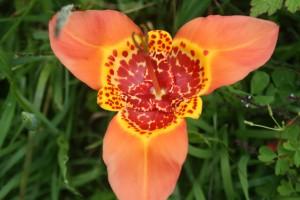 Caminatas de la Sierra Norte... Caminatas de la Sierra Norte...