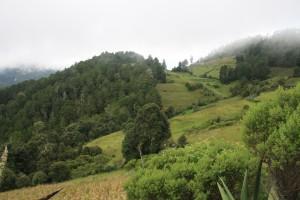 Caminatas de la Sierra Norte... Caminatas de la Sierra Norte...