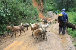 Caminatas de la Sierra Norte... Caminatas de la Sierra Norte...