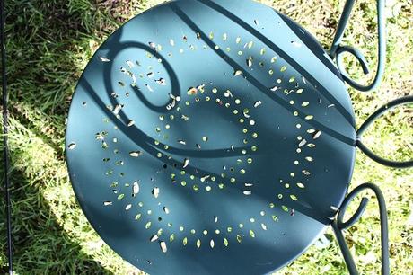 La lumière de la conscience lum2