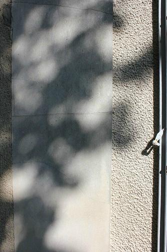 La lumière de la conscience lum3