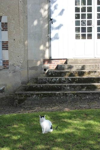 La lumière de la conscience lum8