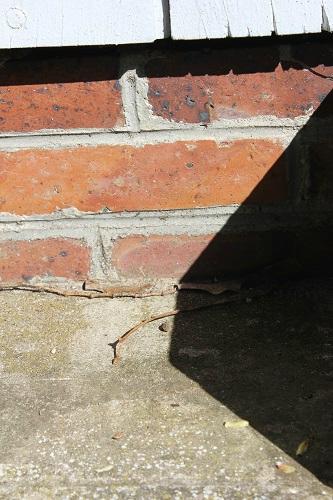 La lumière de la conscience lum4