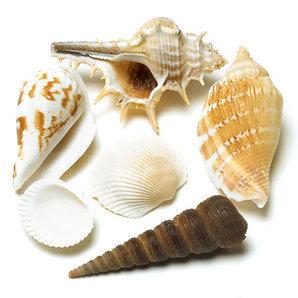 Un beau mariage version plage ! Un beau mariage version plage !
