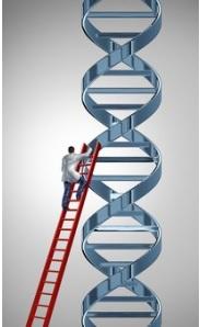 MUCOVISCIDOSE: L'édition du génome pour corriger la mutation responsable – Nature Communications