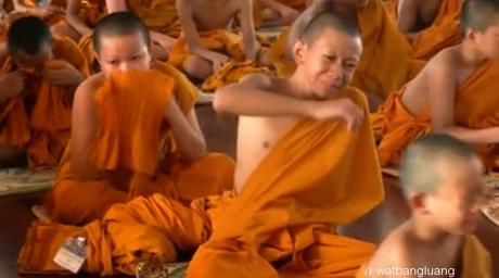 Insolite thaïlande, Bouddhisme, des larmes chez les novices [HD]