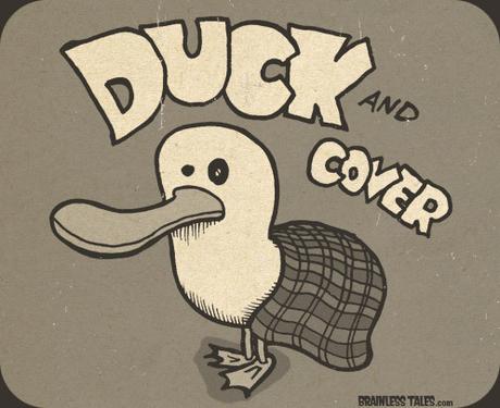 duck-n-cover