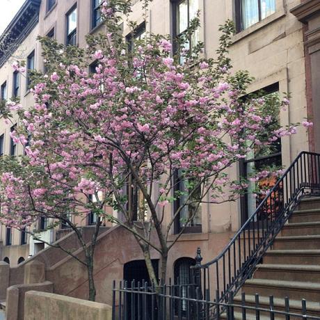 đŸ’“đŸŒ¸đŸŒłUne balade improvisée en après-midi.  #NYC #spring #Brooklyn #brooklynheights #explore #wanderlust #travel  (à Brooklyn Heights Historic District)