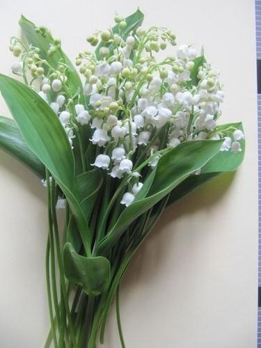 Mes ouvrages - cartes Muguet + Rose n°52 la dernière a été faite par Michèle....