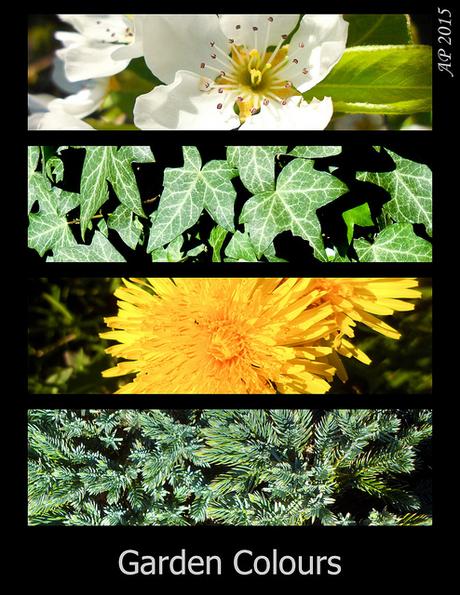 Jeu de couleurs / Colour Set Couleurs du Jardin / Garden Colours