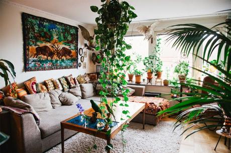 Jungle Boho Home