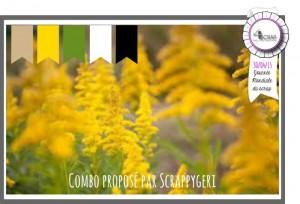 Carte Scrap #241 103812667_o