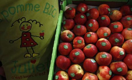 Pour une nouvelle transition alimentaire Il faut mettre en place une agroécologie économe en intrants qui augmente la matière organique des sols et développer une agriculture nourricière tournée vers la satisfaction des besoins nutritionnels humains, moins centrée vers les productions animales. Ainsi, les clivages entre agriculture biologique et conventionnelle devraient se réduire.