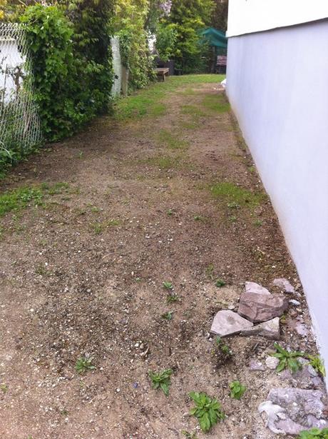 Second oeuvre : en cours ! jardin5